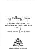 Tapa de Big Falling Snow
