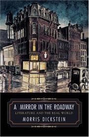Tapa de A Mirror in the Roadway