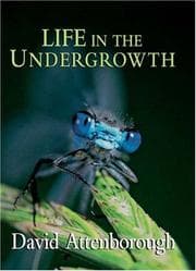 Tapa de Life in the Undergrowth