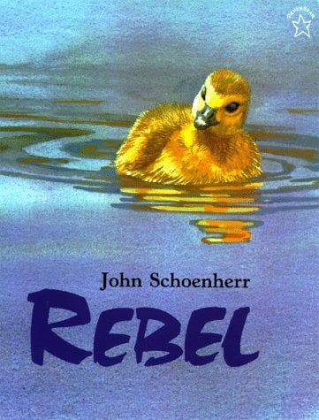 Tapa de Rebel