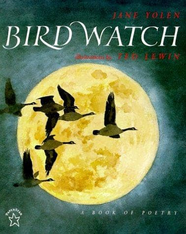 Tapa de Bird Watch