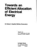 Tapa de Towards an efficient allocation of electrical energy