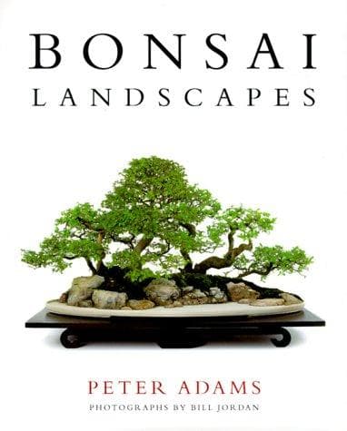 Tapa de Bonsai Landscapes