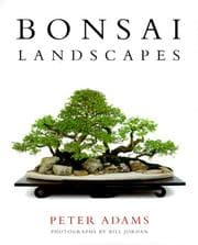 Tapa de Bonsai Landscapes