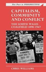 Tapa de Capitalism, Community and Conflict