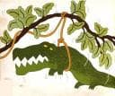 Tapa de Crocodile's Tale
