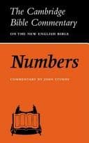 Tapa de Numbers