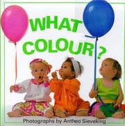 Tapa de What Color