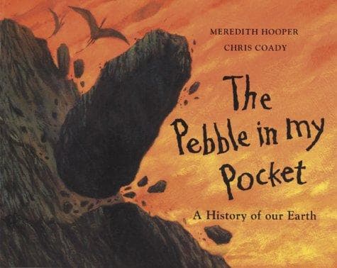 Tapa de The Pebble in My Pocket
