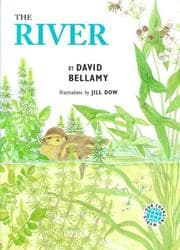 Tapa de The River