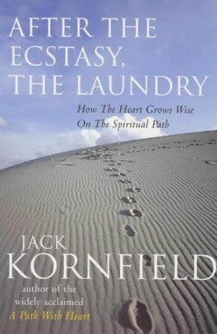 Tapa de After the Ecstacy, the Laundry