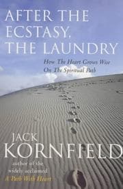 Tapa de After the Ecstacy, the Laundry