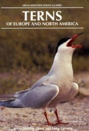 Tapa de Terns of Europe and North America