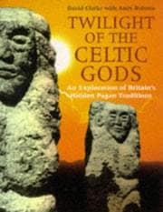 Tapa de Twilight of the Celtic gods