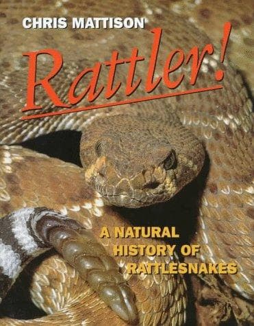 Tapa de Rattler!