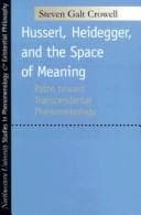 Tapa de Husserl, Heidegger, and the space of meaning
