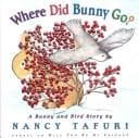 Tapa de Where did Bunny go?