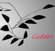 Tapa de Calder