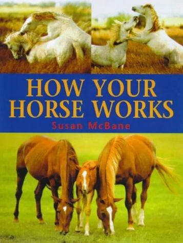 Tapa de How Your Horse Works