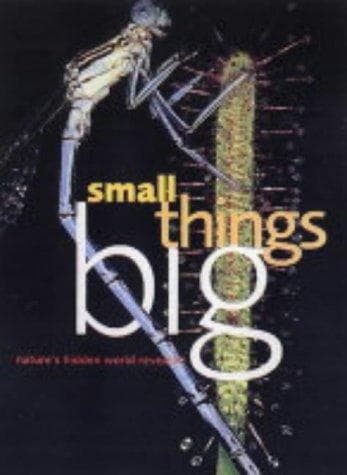 Tapa de Small Things Big