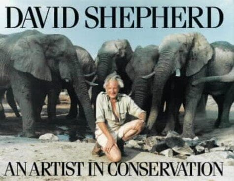 Tapa de An Artist in Conservation