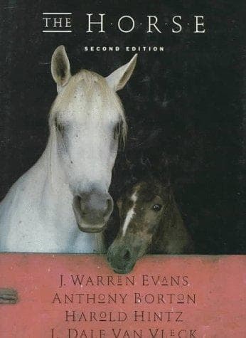 Tapa de The Horse