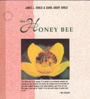Tapa de Honey Bee