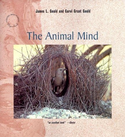 Tapa de Animal Mind