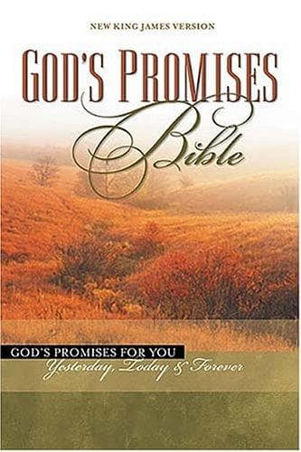 Tapa de Gods promises Bible