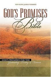 Tapa de Gods promises Bible