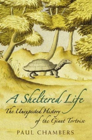 Tapa de A Sheltered Life