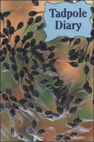 Tapa de LT 2-C Tadpole Diary BB