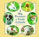 Tapa de Big Treasury of Little Animals