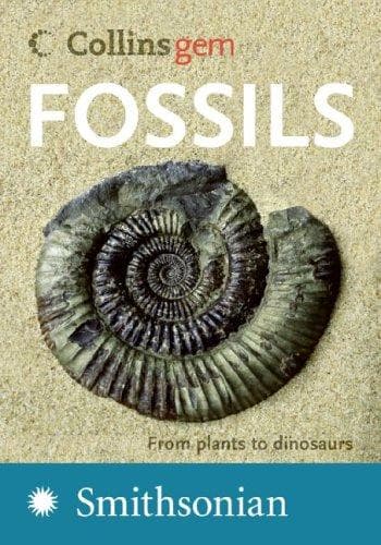 Tapa de Fossils