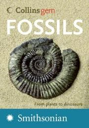 Tapa de Fossils