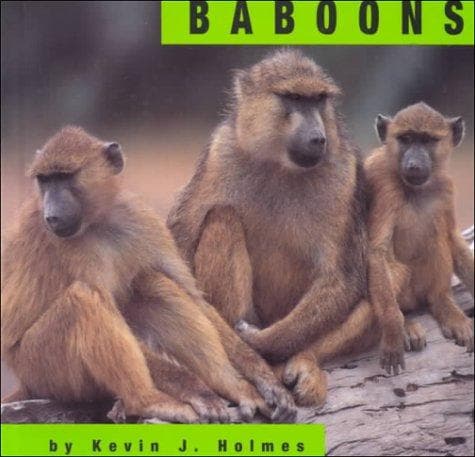 Tapa de Baboons (Animals)