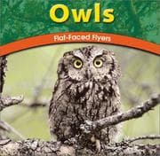 Tapa de Owls