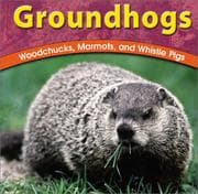 Tapa de Groundhogs