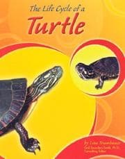 Tapa de The Life Cycle of a Turtle (Life Cycles)