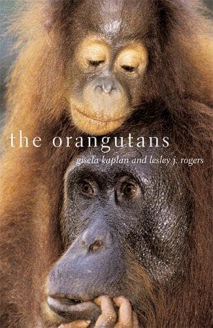 Tapa de The orangutans