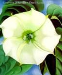 Tapa de Georgia O'keeffe