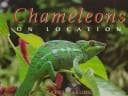 Tapa de Chameleons, on location
