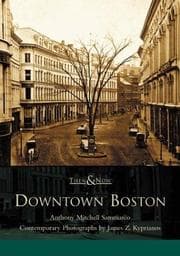 Tapa de Downtown Boston