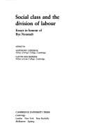Tapa de Social class and the division of labour