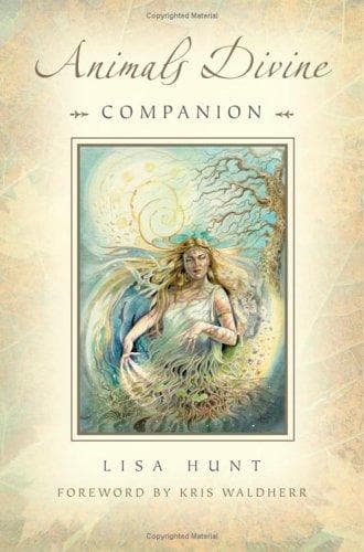 Tapa de Animals Divine Tarot