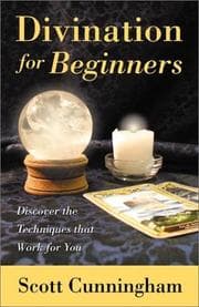 Tapa de Divination for beginners