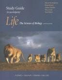 Tapa de Study guide to accompany Life, the science of biology, 7th ed., Purves [and others]