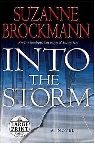 Tapa de Into the Storm