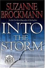 Tapa de Into the Storm