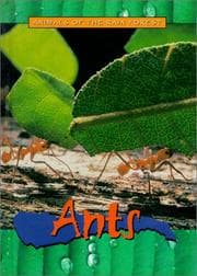 Tapa de Ants (Animals of the Rain Forest)